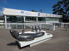 Australia's Antarctic Headquarters - Tourism Cairns 0