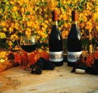 Craigow Vineyard - Tourism Cairns