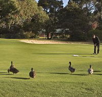 Royal Hobart Golf Club - Tourism Cairns