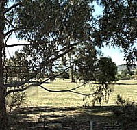 Cygnet Public Golf Course - Tourism Cairns