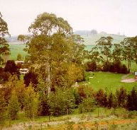 The Tasmanian Arboretum - Tourism Cairns