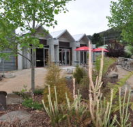 Tin Dragon Interpretation Centre and Cafe - Tourism Cairns