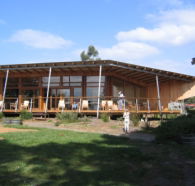 Art At The Point Gallery - Tourism Cairns