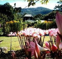 Blueberry Cottage Open Gardens - Tourism Cairns