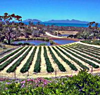 Kate's Berry Farm - Tourism Cairns