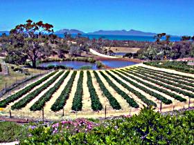Kate's Berry Farm - Tourism Cairns 0