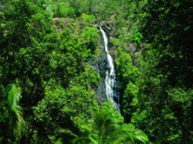 Montville QLD Tourism Cairns