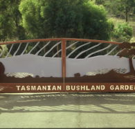 Tasmanian Bushland Garden - Tourism Cairns