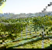 Surveyor's Hill Vineyards - Tourism Cairns