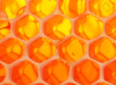 Glendevie TAS Tourism Cairns