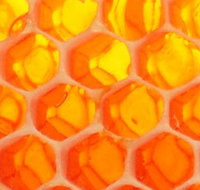 The Honey Pot - Tourism Cairns