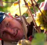 Puddleduck Vineyard - Tourism Cairns
