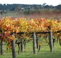Apsley Gorge Vineyard - Tourism Cairns