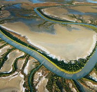 The Wilderness Gallery - Tourism Cairns