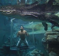 Crocosaurus Cove - Tourism Cairns