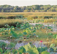 Fogg Dam Conservation Reserve - Tourism Cairns