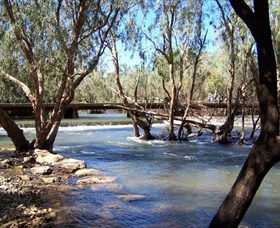 Low Level Nature Reserve - Tourism Cairns 0