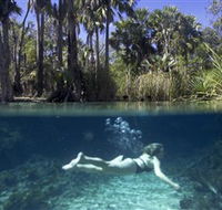 Bitter Springs - Tourism Cairns