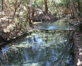 Katherine Hot Springs - Tourism Cairns 0