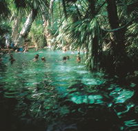 Mataranka Thermal Pool - Tourism Cairns