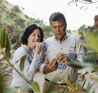 Simpsons Gap - Tourism Cairns