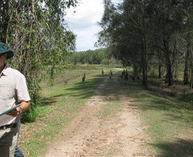 Coombabah QLD Tourism Cairns