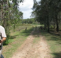 Coombabah Lakes Conservation Area