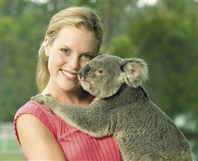  Tourism Cairns