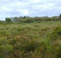 Pine Ridge Conservation Park