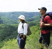 Sunshine Coast Hinterland Great Walk - Tourism Cairns
