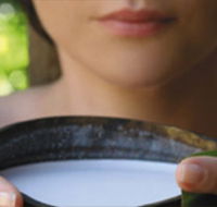 Ikatan Day Spa - Tourism Cairns