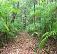 Delicia Road Conservation Park - Tourism Cairns