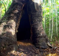Tewantin National Park - Tourism Cairns