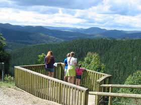 Kenilworth Forest Reserve - Tourism Cairns 0