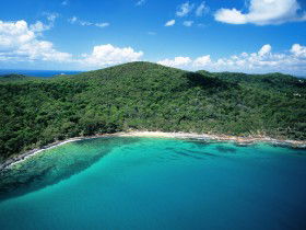 Noosa Heads Coastal Track - Tourism Cairns 0