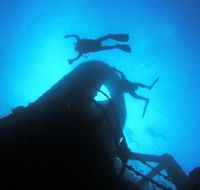 Ex HMAS Brisbane Dive Site - Tourism Cairns
