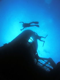 Ex HMAS Brisbane Dive Site - Tourism Cairns 0