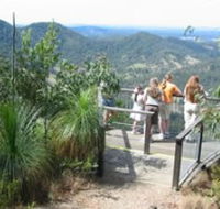 Mapleton Forest Reserve - Tourism Cairns