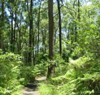 Mapleton Falls National Park - Tourism Cairns