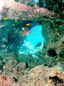  Tourism Cairns