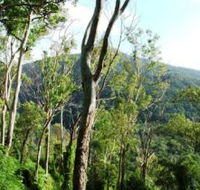 Smiths Track Barron Gorge National Park - Tourism Cairns