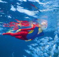 Pixie Pinnacle Dive Site - Tourism Cairns
