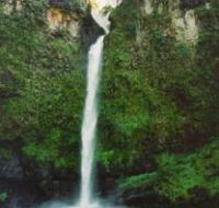 Nandroya Falls Circuit Track Wooroonooran National Park - Tourism Cairns