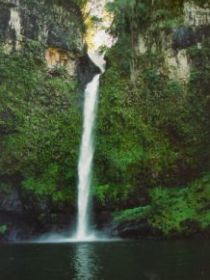 Nandroya Falls Circuit Track, Wooroonooran National Park - Tourism Cairns 0