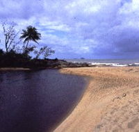 Russell River National Park - Tourism Cairns