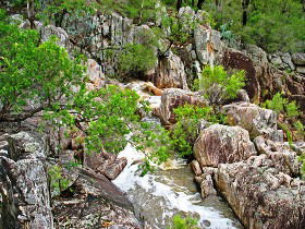 Crows Nest National Park - Tourism Cairns 0