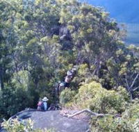 Mia Mia State Forest - Tourism Cairns