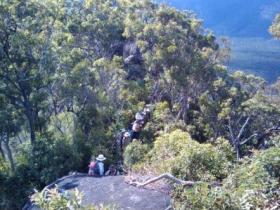 Mia Mia State Forest - Tourism Cairns 0