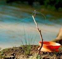 Charleville - Mangalore Warrego River Fishing Spot - Tourism Cairns