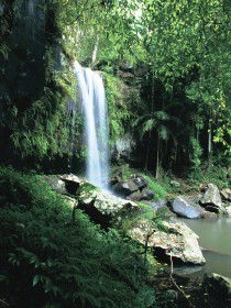 Tamborine QLD Tourism Cairns